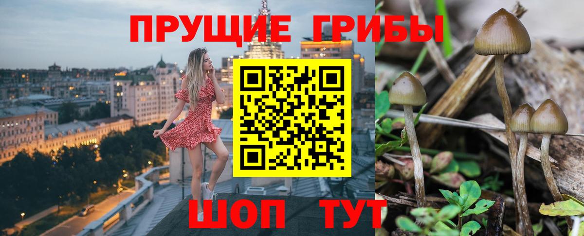 Галлюциногенные грибы Magic Shrooms  Галлюциногенные грибы Cubensis  Саянск  Вход с VPN 