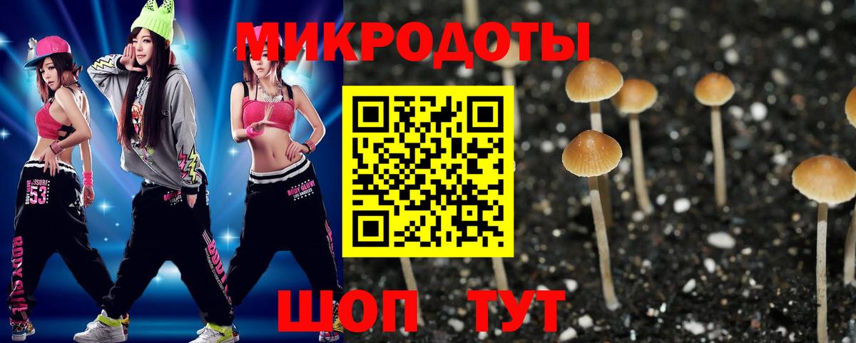 Галлюциногенные грибы Psilocybine cubensis Саянск
